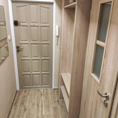 公寓 Apartament - żabianka 格但斯克